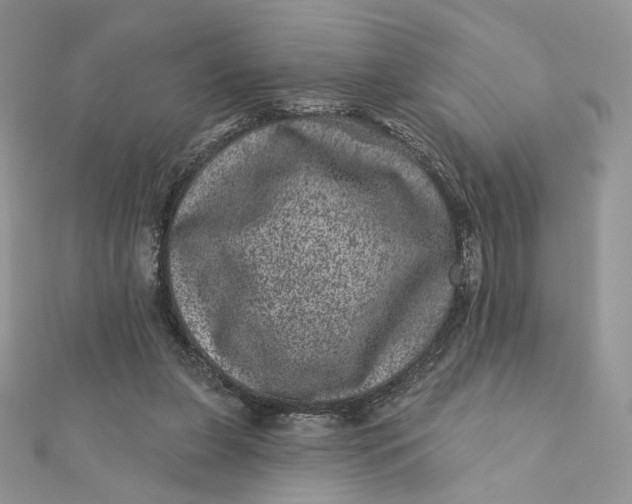 X0000111870255200908131618