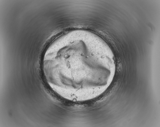 X0000111870256200908131618