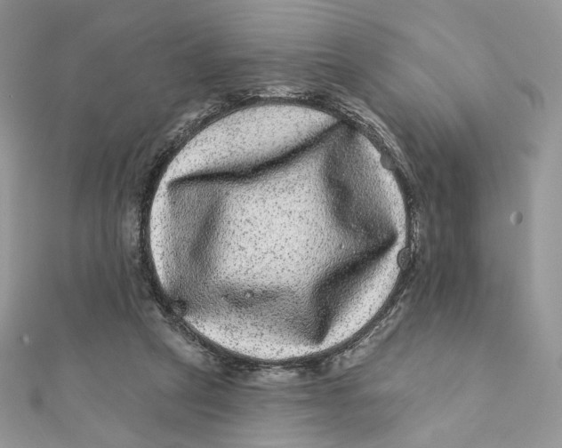 X0000111870257200908131618