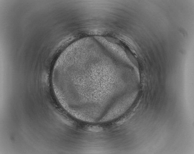 X0000111870258200908131618