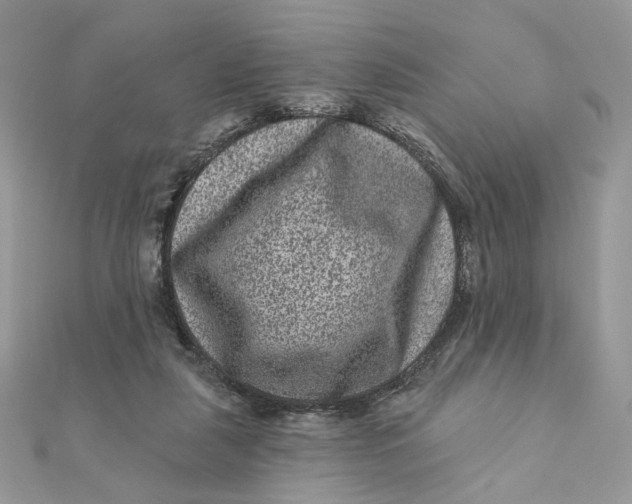 X0000111870259200908131618