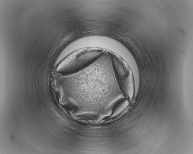 X0000111870260200908131618