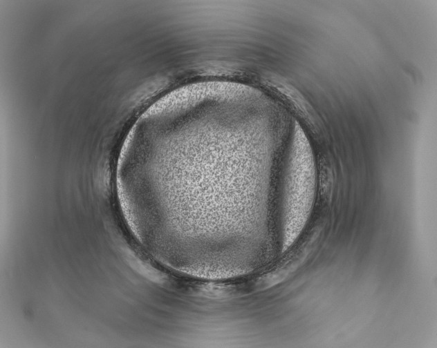 X0000111870261200908131618