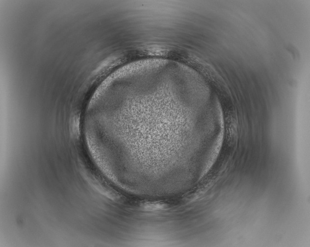 X0000111870262200908131618