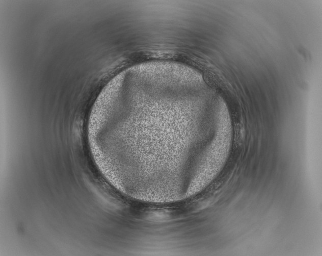 X0000111870263200908131618