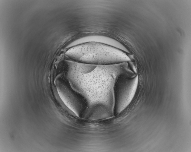 X0000111870264200908131618