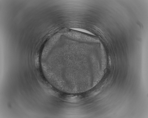 X0000111870267200908131618