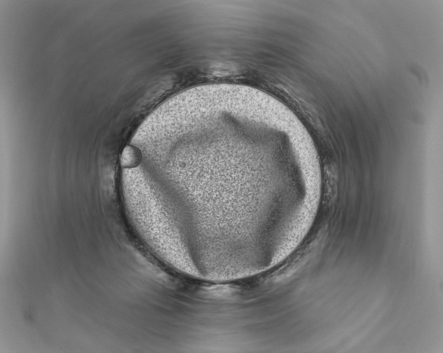 X0000111870269200908131618