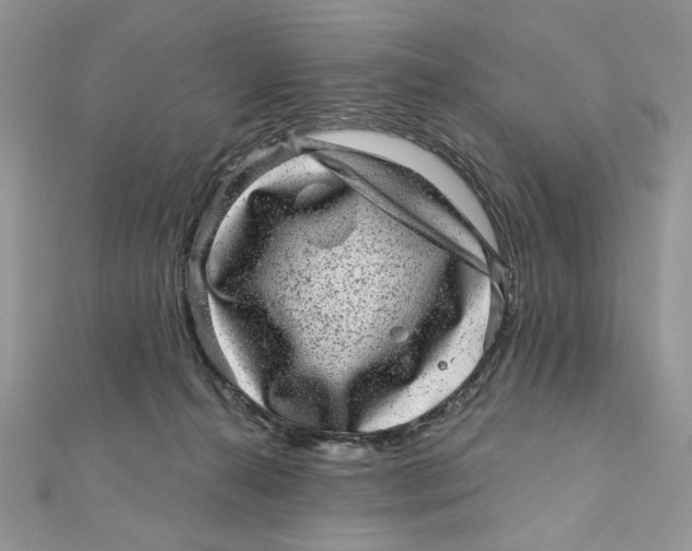 X0000111870272200908131618