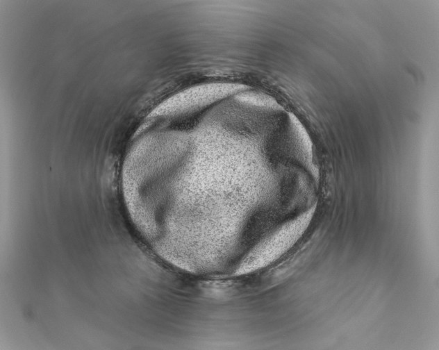 X0000111870273200908131618