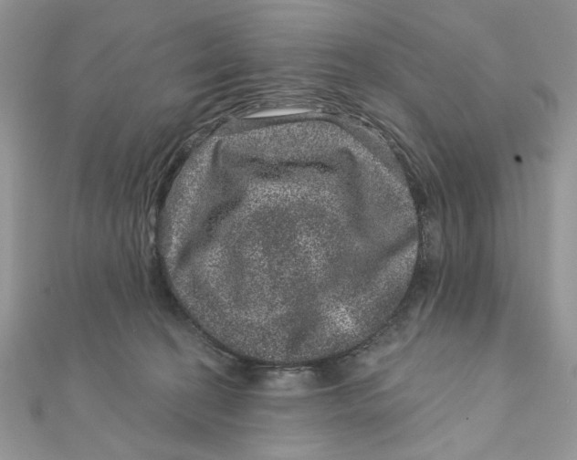 X0000111870274200908131618