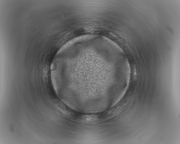 X0000111870275200908131618