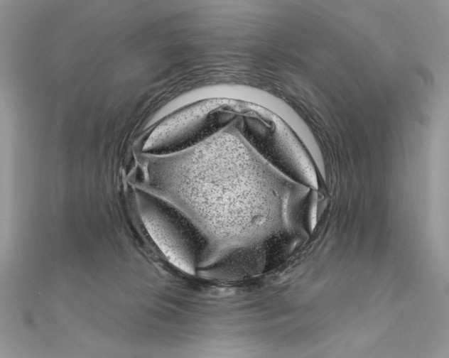 X0000111870276200908131618