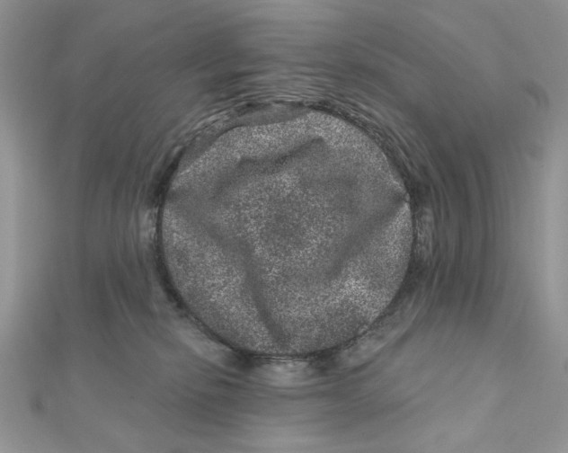 X0000111870278200908131618