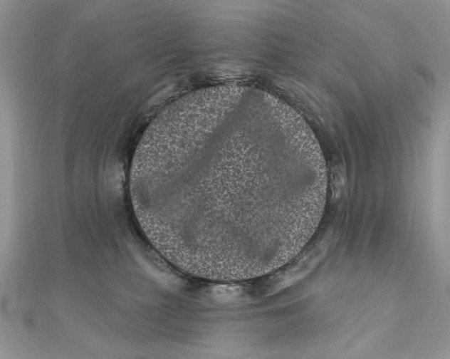 X0000111870279200908131618