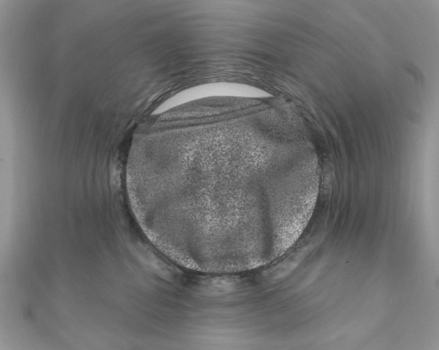 X0000111870282200908131618