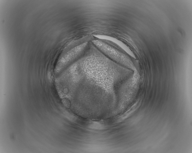 X0000111870285200908131618