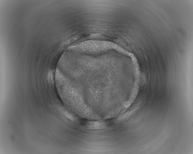 X0000111870286200908131618