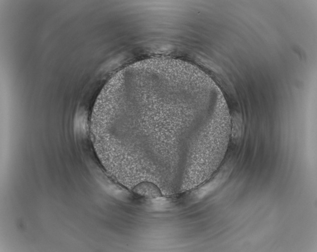 X0000111870287200908131618