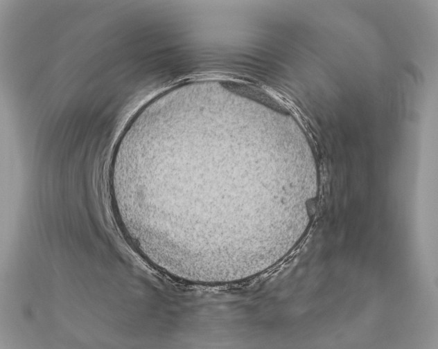 X0000111870289200908131617