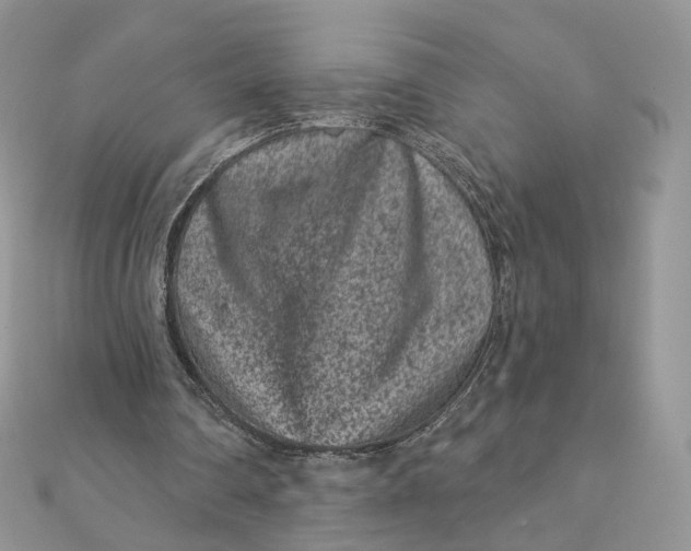 X0000111870290200908131617