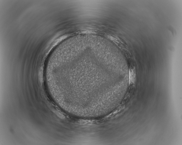 X0000111870291200908131617