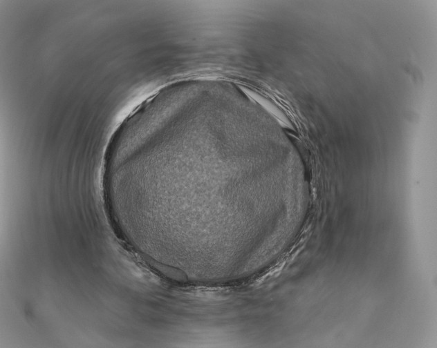 X0000111870292200908131617