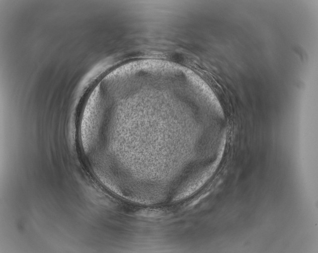 X0000111870294200908131617