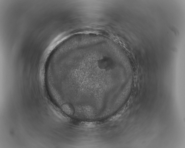 X0000111870295200908131617