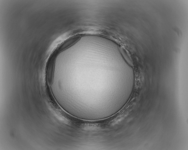 X0000111870296200908131617