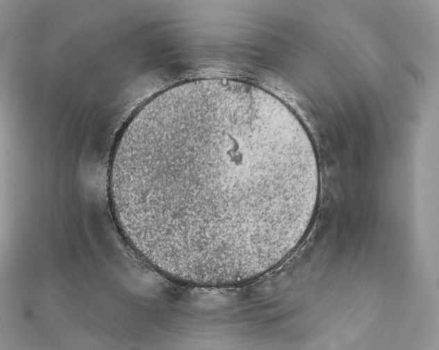 X0000111870297200908131617