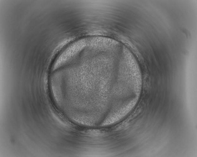 X0000111870298200908131617