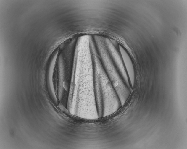 X0000111870299200908131617