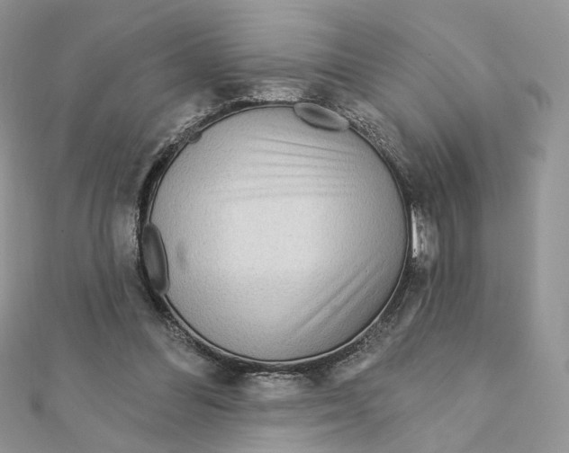 X0000111870300200908131617