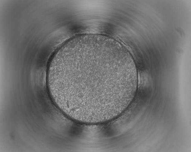 X0000111870301200908131617