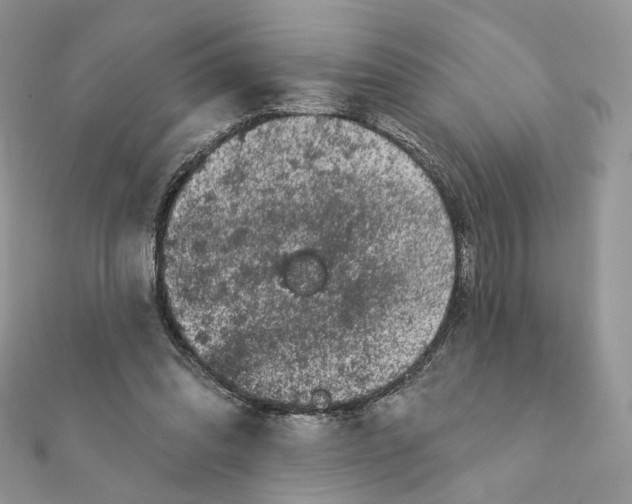 X0000111870302200908131617