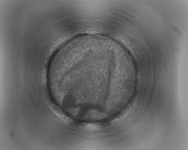 X0000111870303200908131617