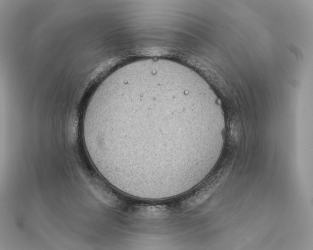 X0000111870304200908131617