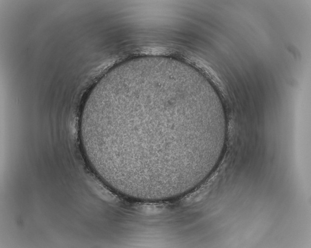 X0000111870305200908131617