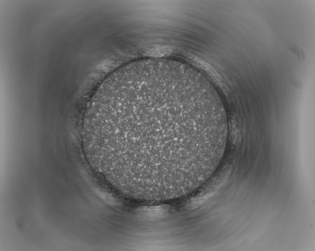 X0000111870307200908131617