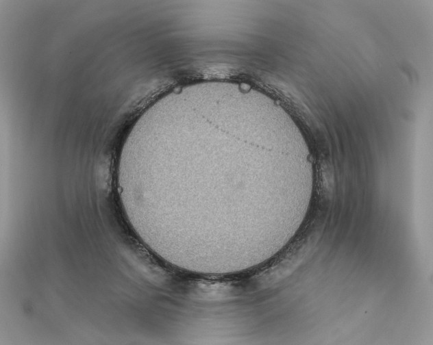 X0000111870311200908131617