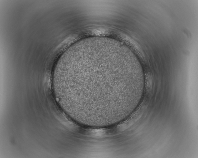 X0000111870313200908131617