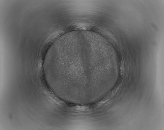 X0000111870314200908131617