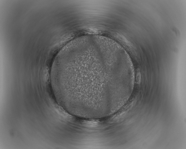 X0000111870318200908131617