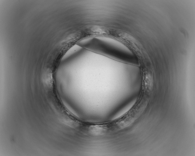 X0000111870320200908131617