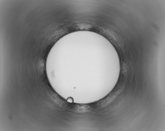 X0000111870321200908131617