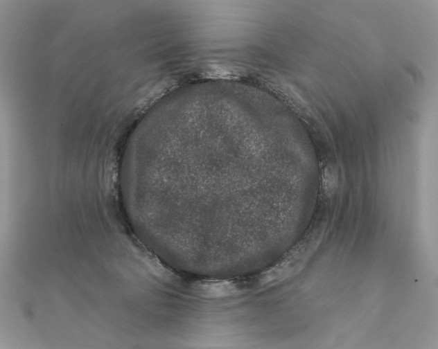 X0000111870322200908131617