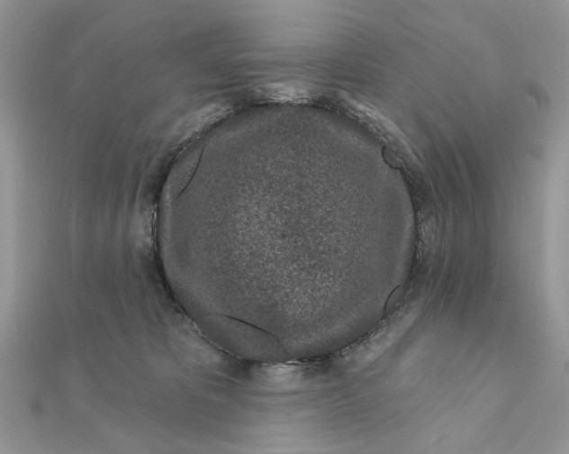 X0000111870325200908131617