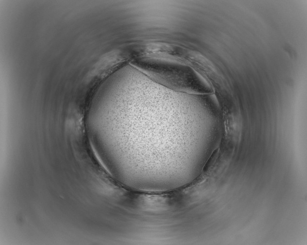 X0000111870327200908131617