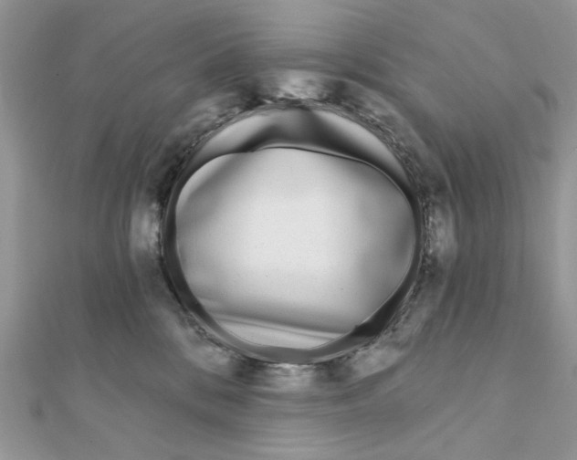 X0000111870328200908131617